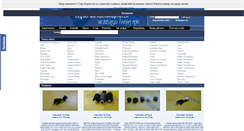 Desktop Screenshot of copy-expert.pl